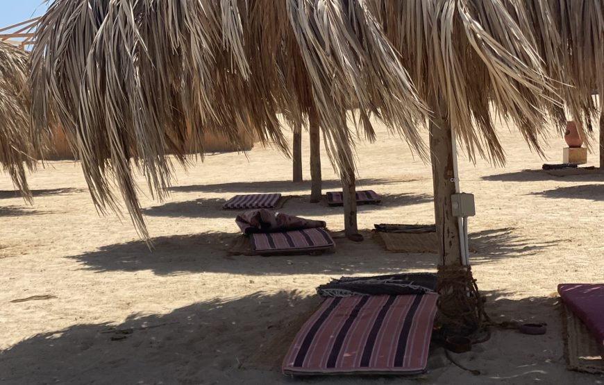 Magawish Island Full-Day Snorkeling Trip