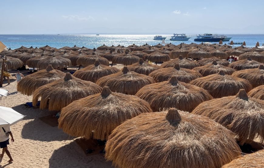 Hula Hula Island Full-Day Snorkeling Trip from Hurghada