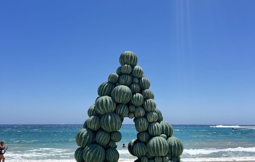 Private Abu Dabbab Bay from Hurghada