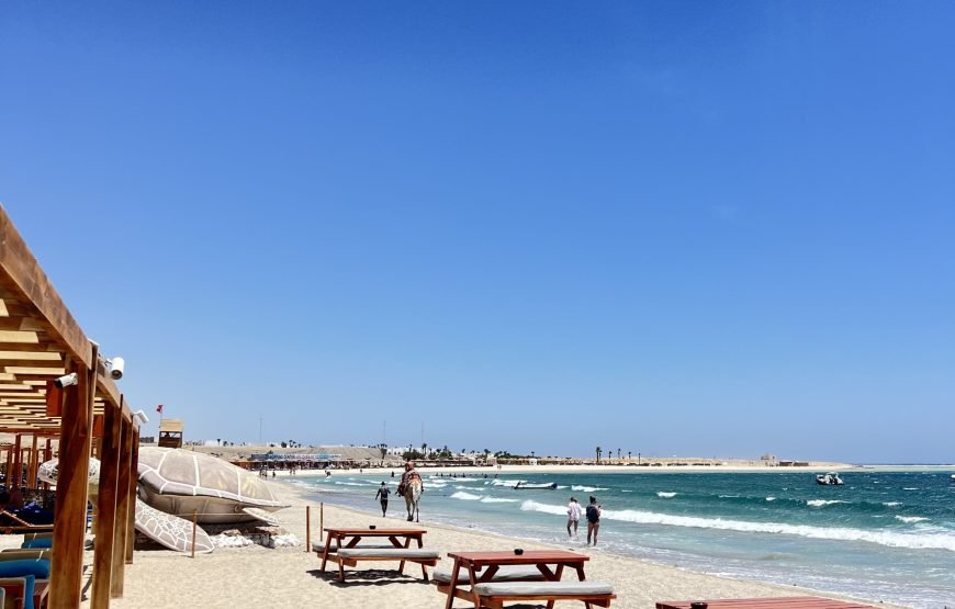 Private Abu Dabbab Bay from Hurghada