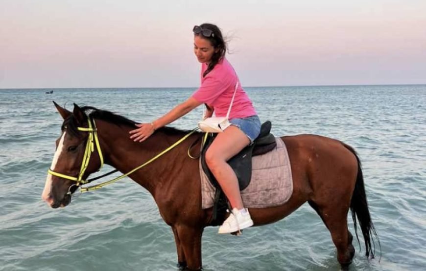 Horseback Riding: Desert, Beach & Swim