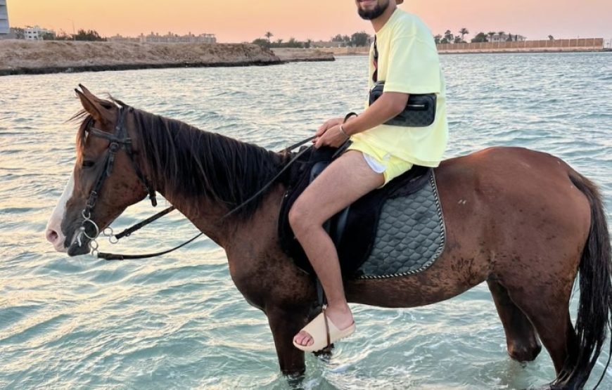 Horseback Riding: Desert, Beach & Swim