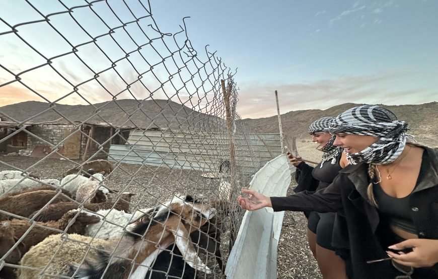 Private Quad Safari Sunset In Hurghada