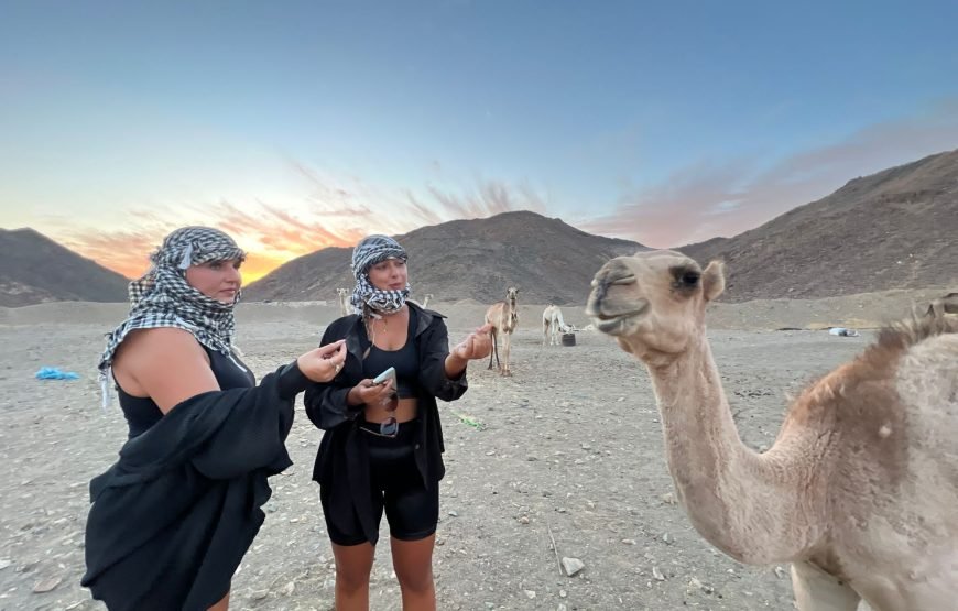 Private Quad Safari Sunset In Hurghada