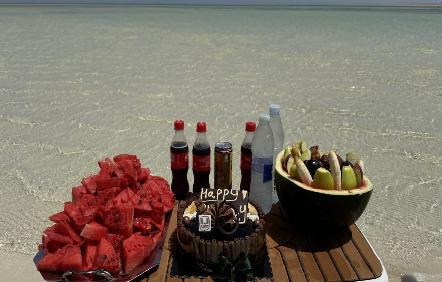 Speed Boat Private 4 hours watching Dolphins & Island visits