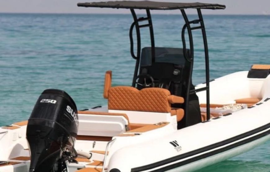 Speed Boat Private 4 hours watching Dolphins & Island visits