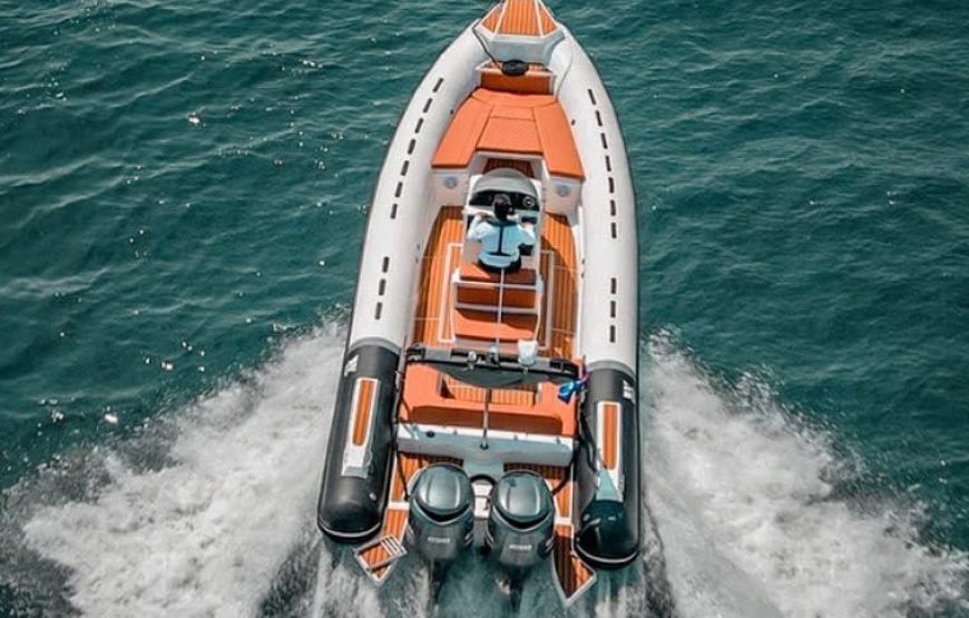 Speed Boat Private 4 hours watching Dolphins & Island visits