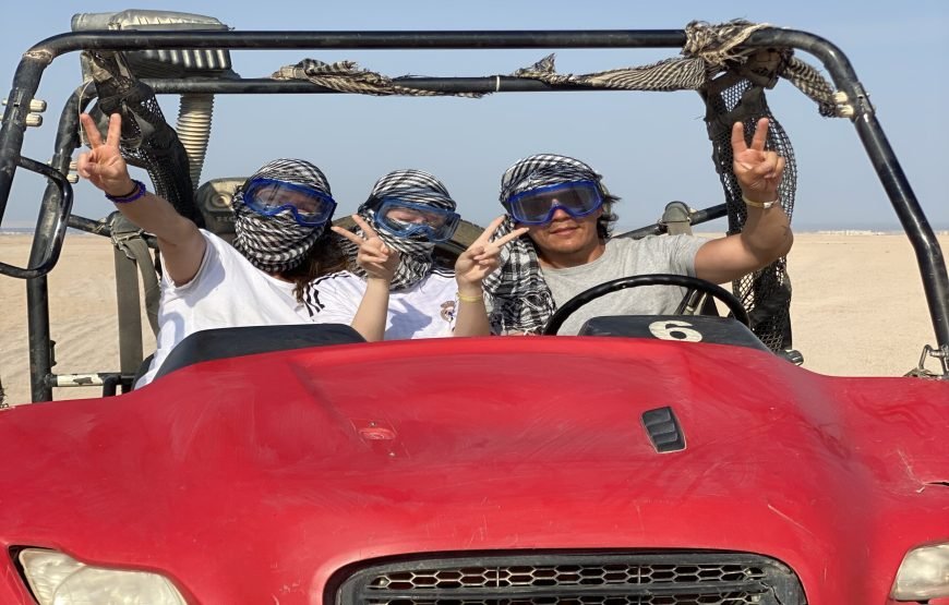 Private Buggy Safari Tour