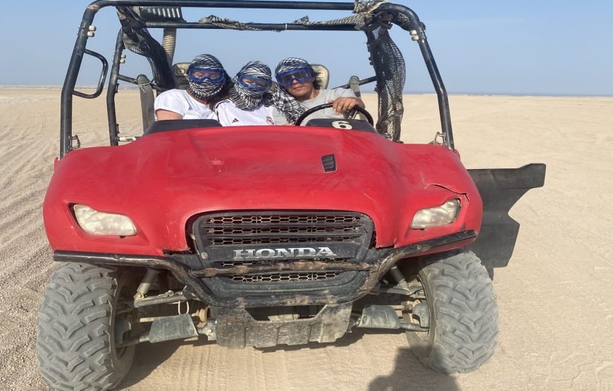 Private Buggy Safari Tour