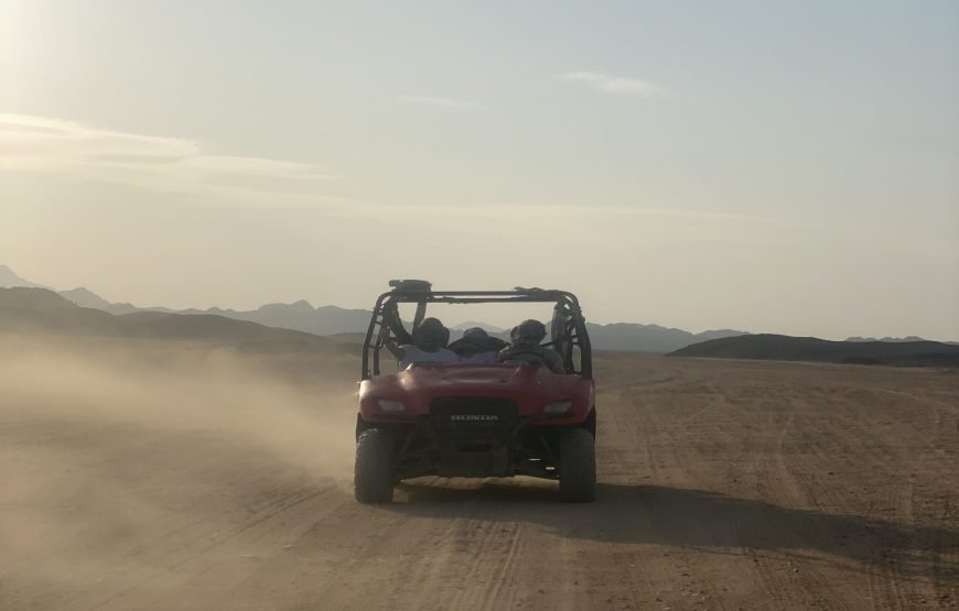 Private Buggy Safari Tour