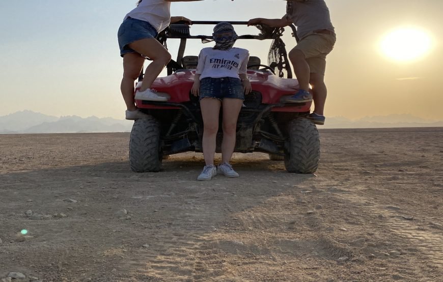 Buggy Private Safari Tour along the Sea & in the Desert Makadi