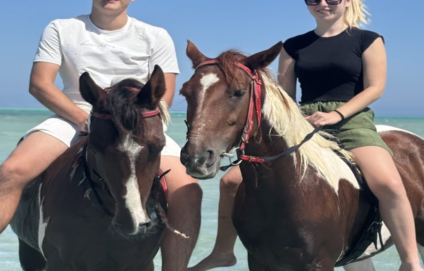 Horseback Riding: Desert, Beach & Swim