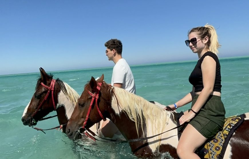Horseback Riding: Desert, Beach & Swim