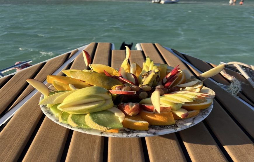 Speed Boat Private 4 hours watching Dolphins & Island visits
