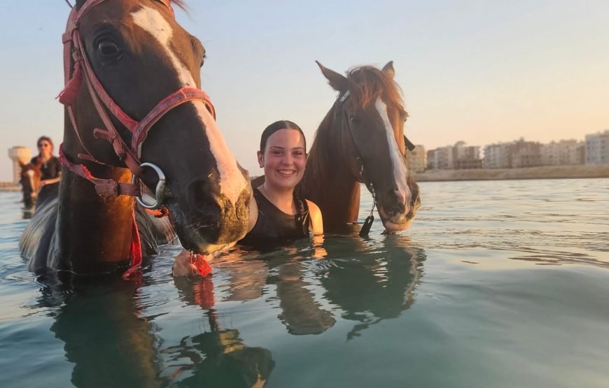 Horseback Riding: Desert, Beach & Swim