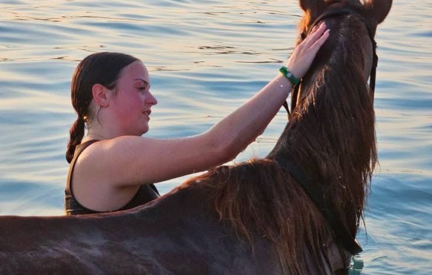 Horseback Riding: Desert, Beach & Swim