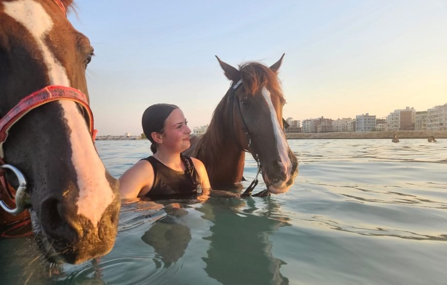 Horseback Riding: Desert, Beach & Swim