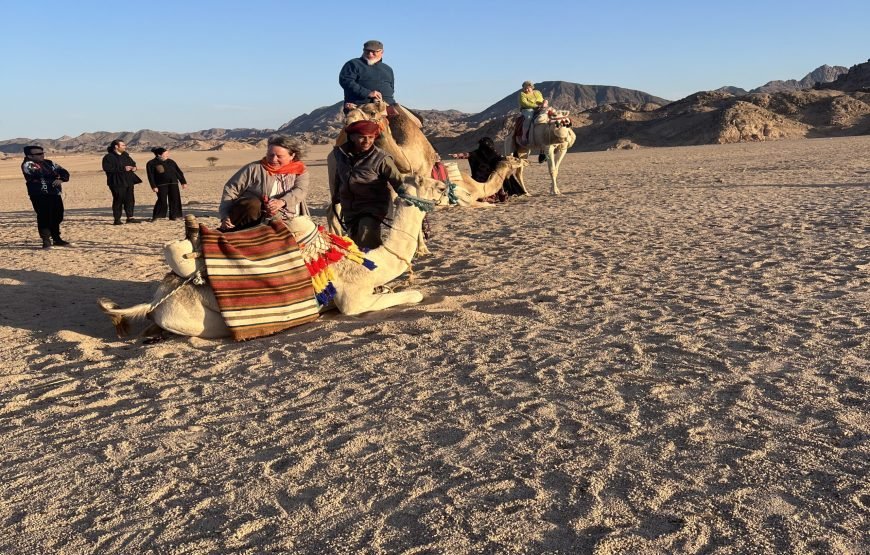 Family Safari Morning In Hurghada