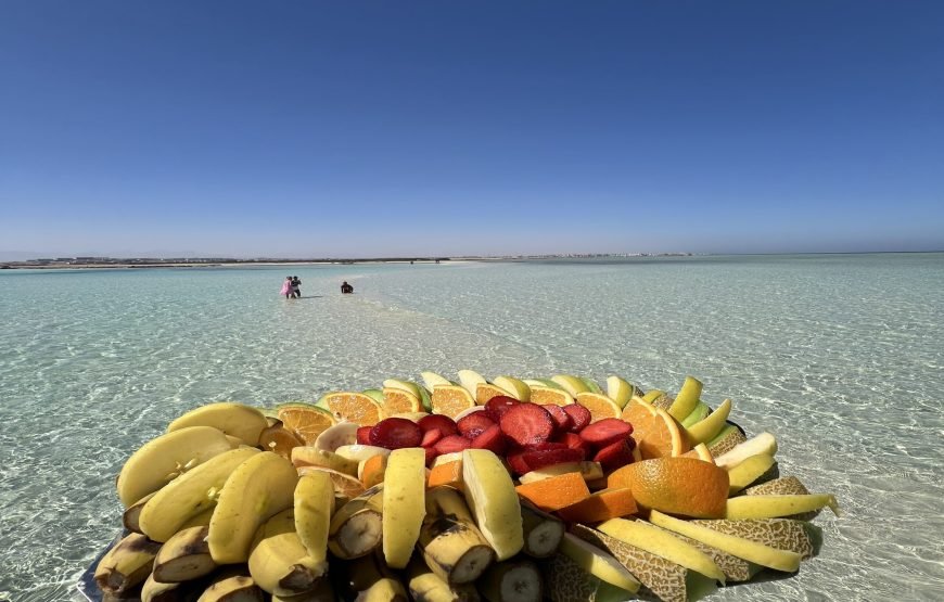 Speed Boat Private 4 hours watching Dolphins & Island visits