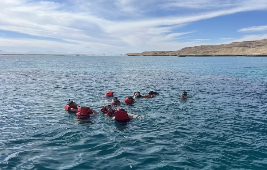 Speed Boat Private 4 hours watching Dolphins & Island visits