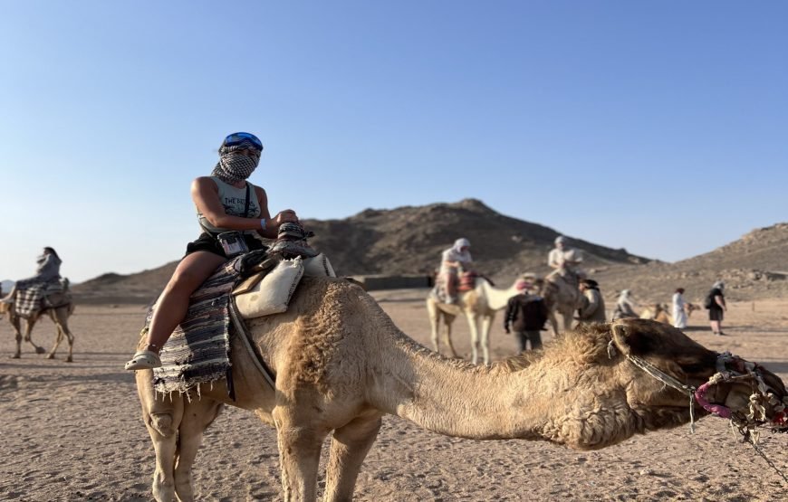 Quad Safari Sunset In Hurghada