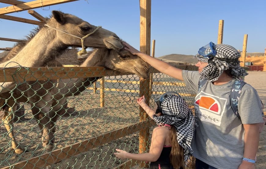 Quad Safari Sunset In Hurghada