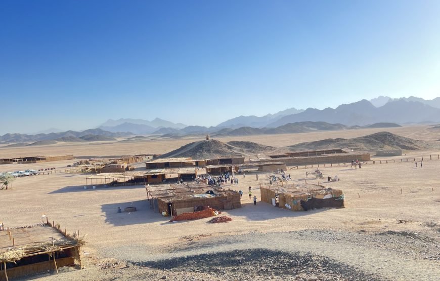 Private Buggy Safari Tour