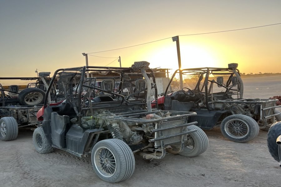 Private Buggy Safari Tour