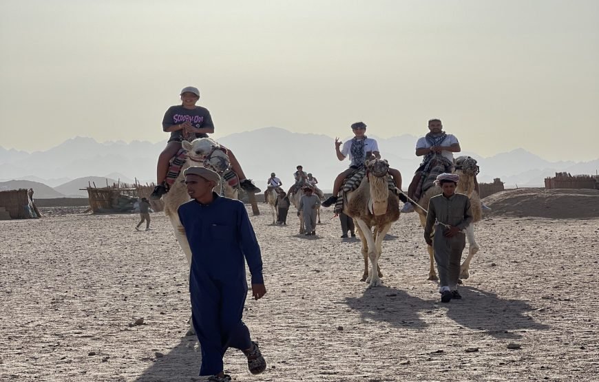 Private Quad Safari Sunset In Hurghada