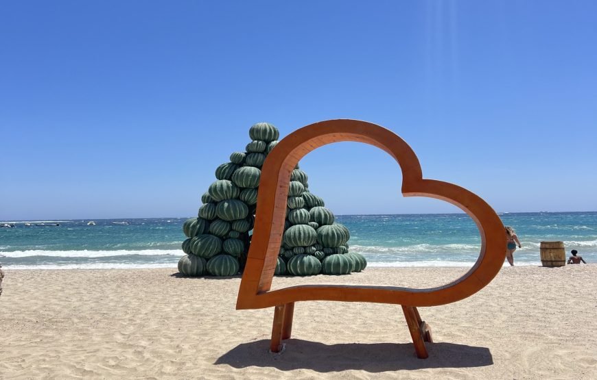 Private Abu Dabbab Bay from Hurghada