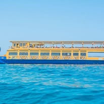 🄽🄴🄵🄴🅁🅃🄰🅁🄸  🄲🅁🄾🅄🅂🄴